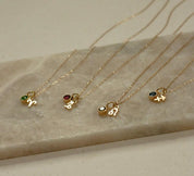 Zodiac Birthstone Necklace for Her