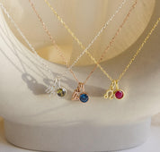 Zodiac Birthstone Necklace for Her