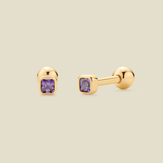 February Birthstone Stud Earrings