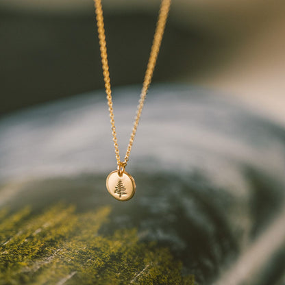 Grounded Disc Necklace