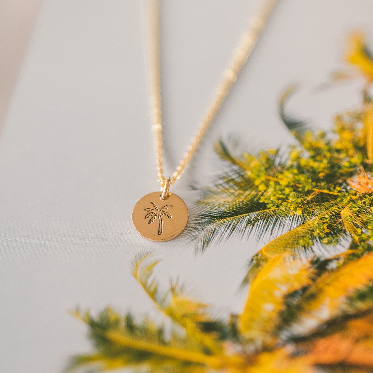 Grounded Disc Necklace