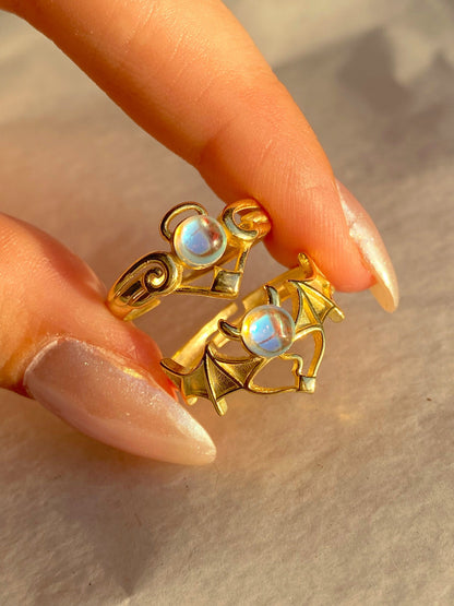 Sterling Silver Winged Rings for Friends