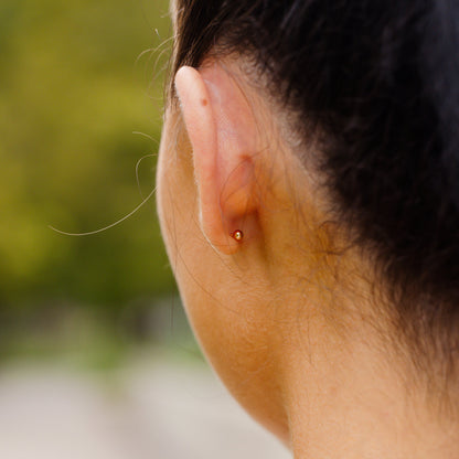 November Birthstone Stud Earrings