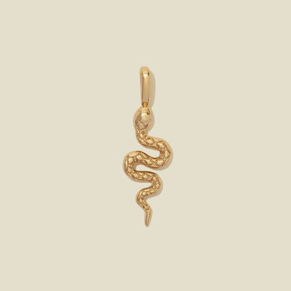 Snake Charm